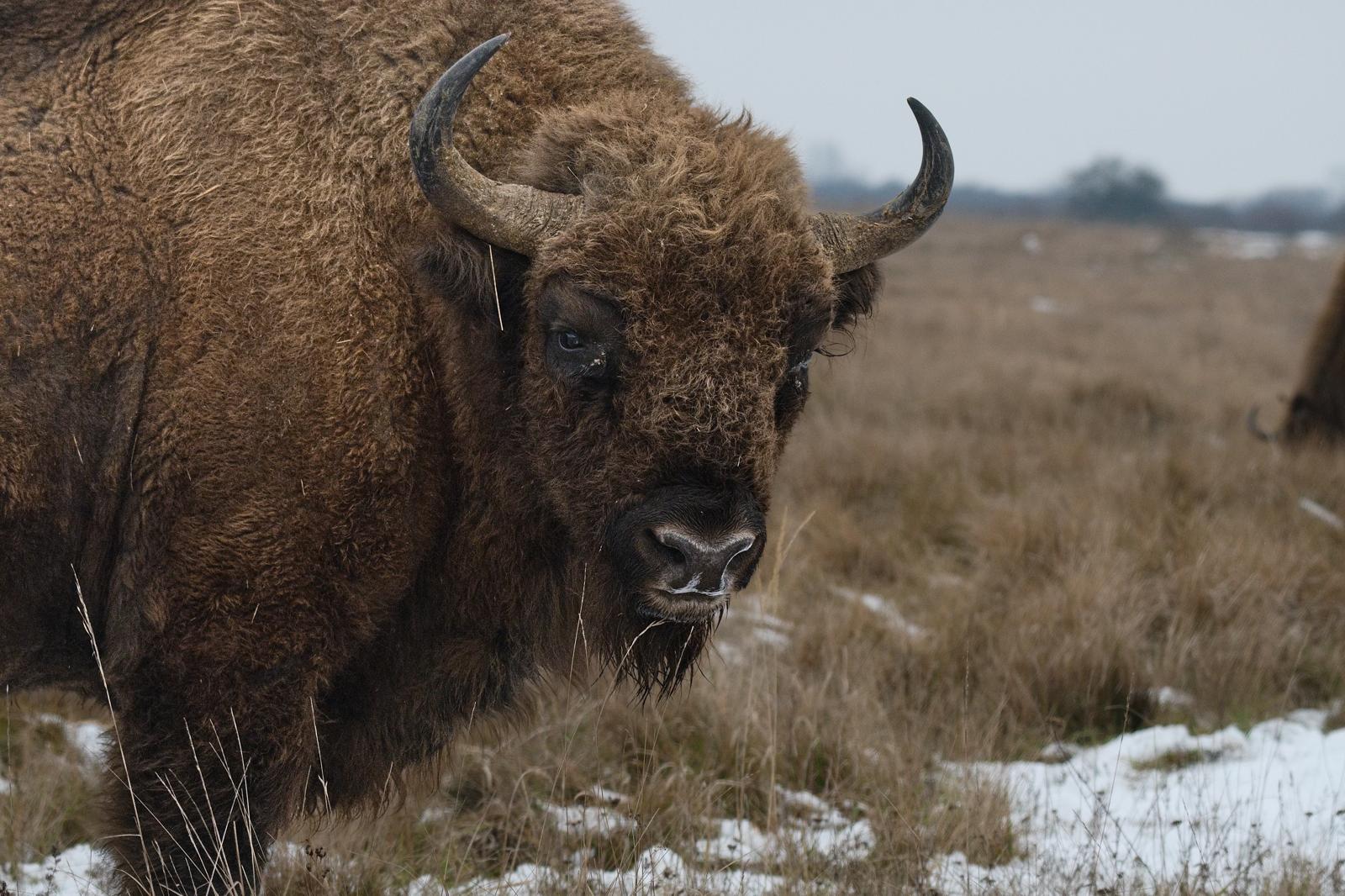 Fotograf Pavel Bašus