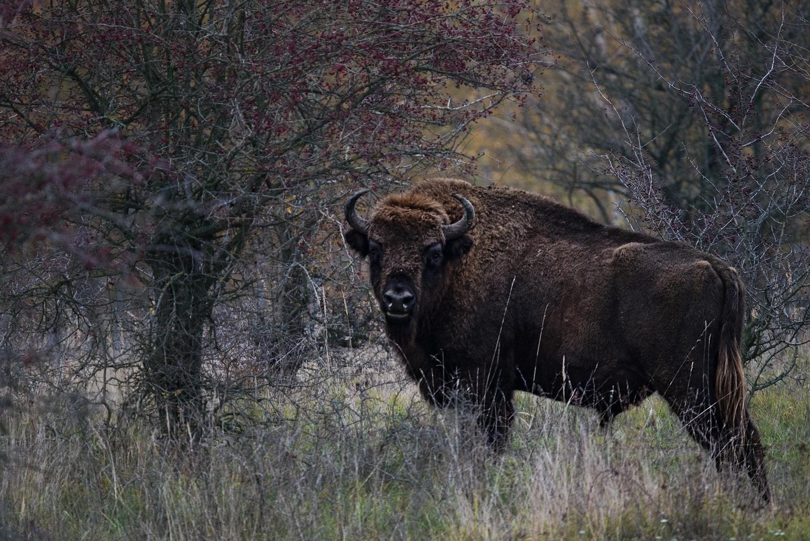 Fotograf Pavel Bašus - oslavy,svatby,portréty,akce,...