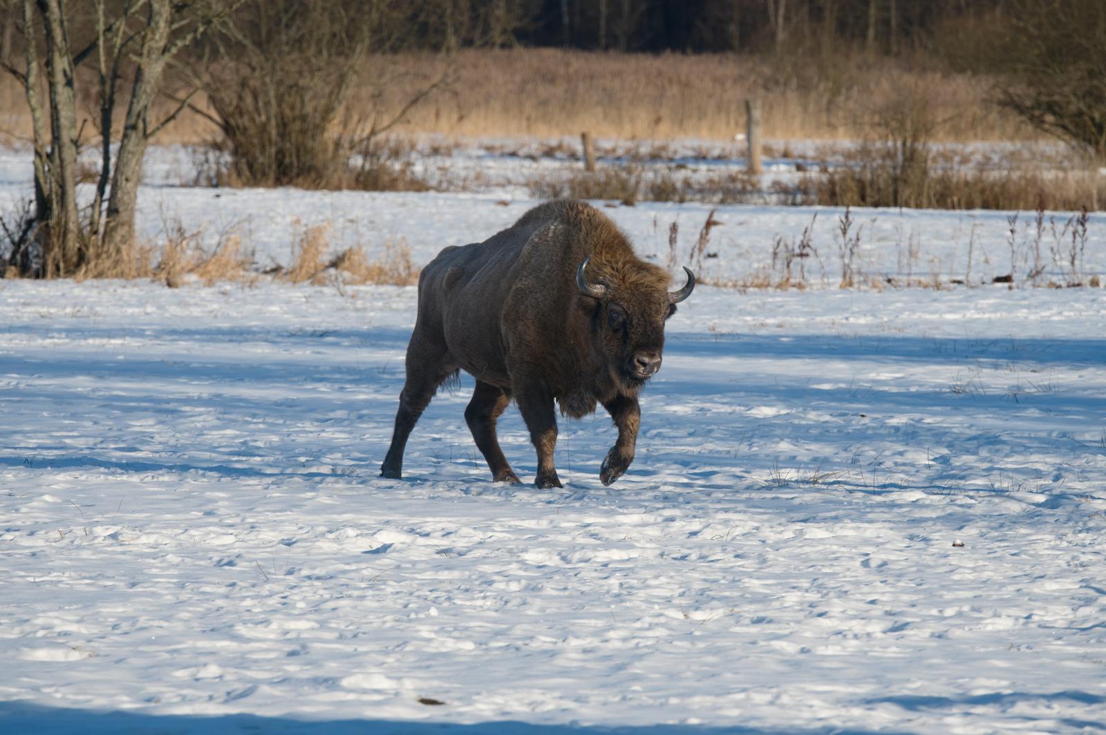 Fotograf Pavel Bašus