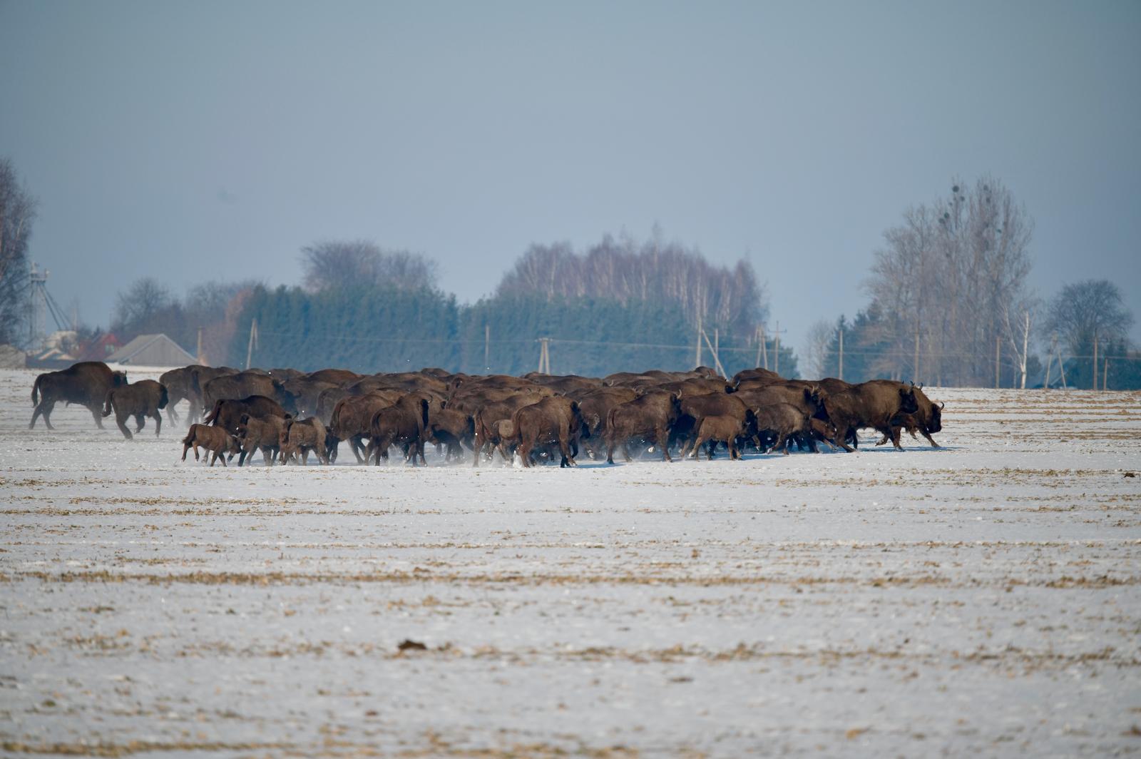 Fotograf Pavel Bašus