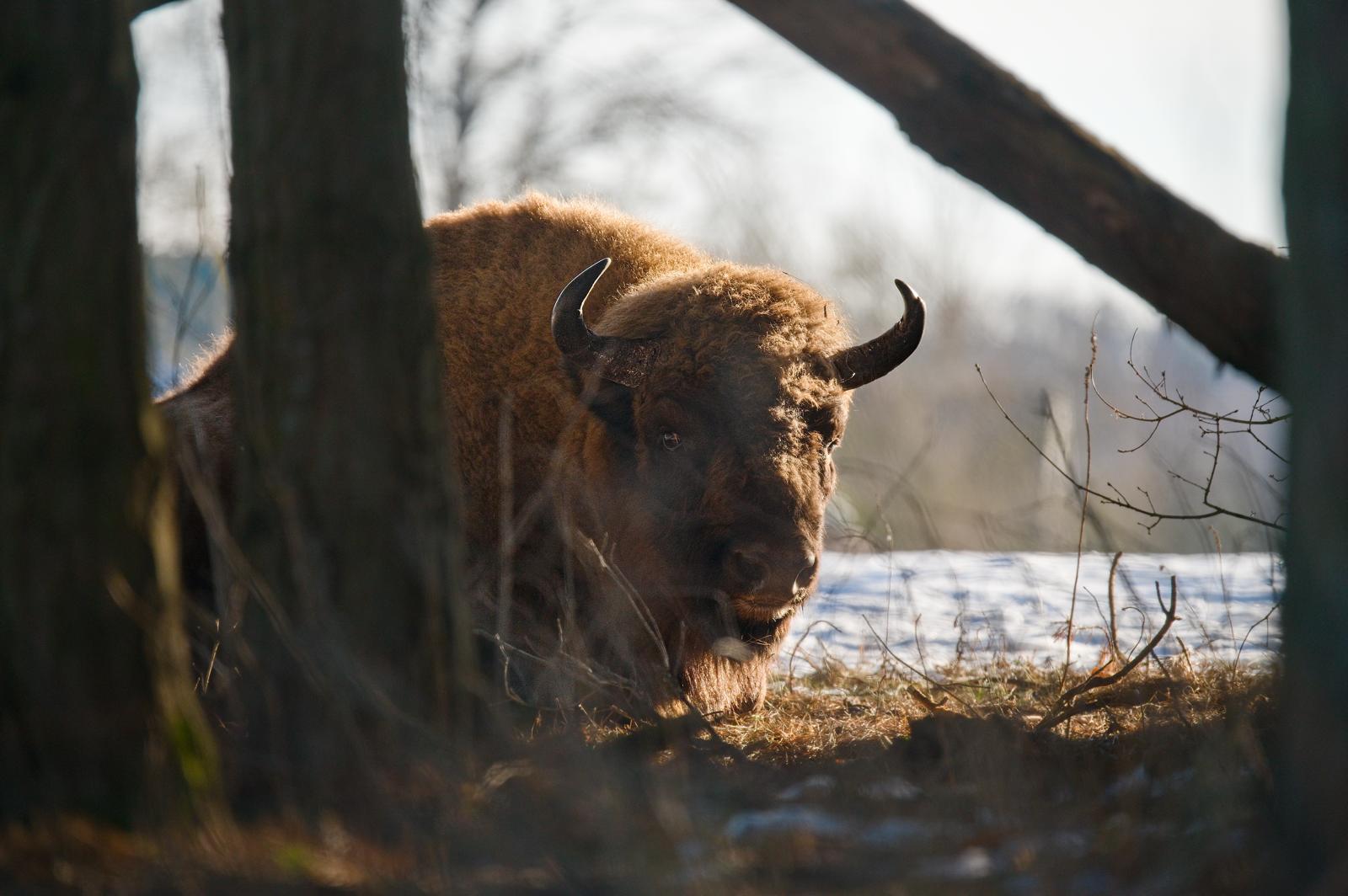 Fotograf Pavel Bašus