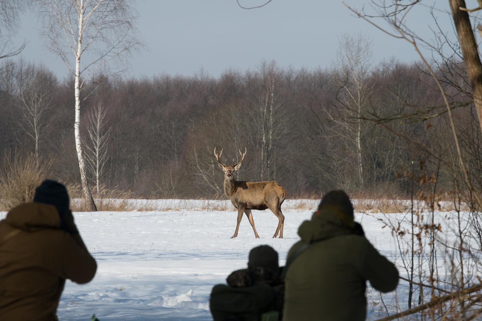 Fotograf Pavel Bašus