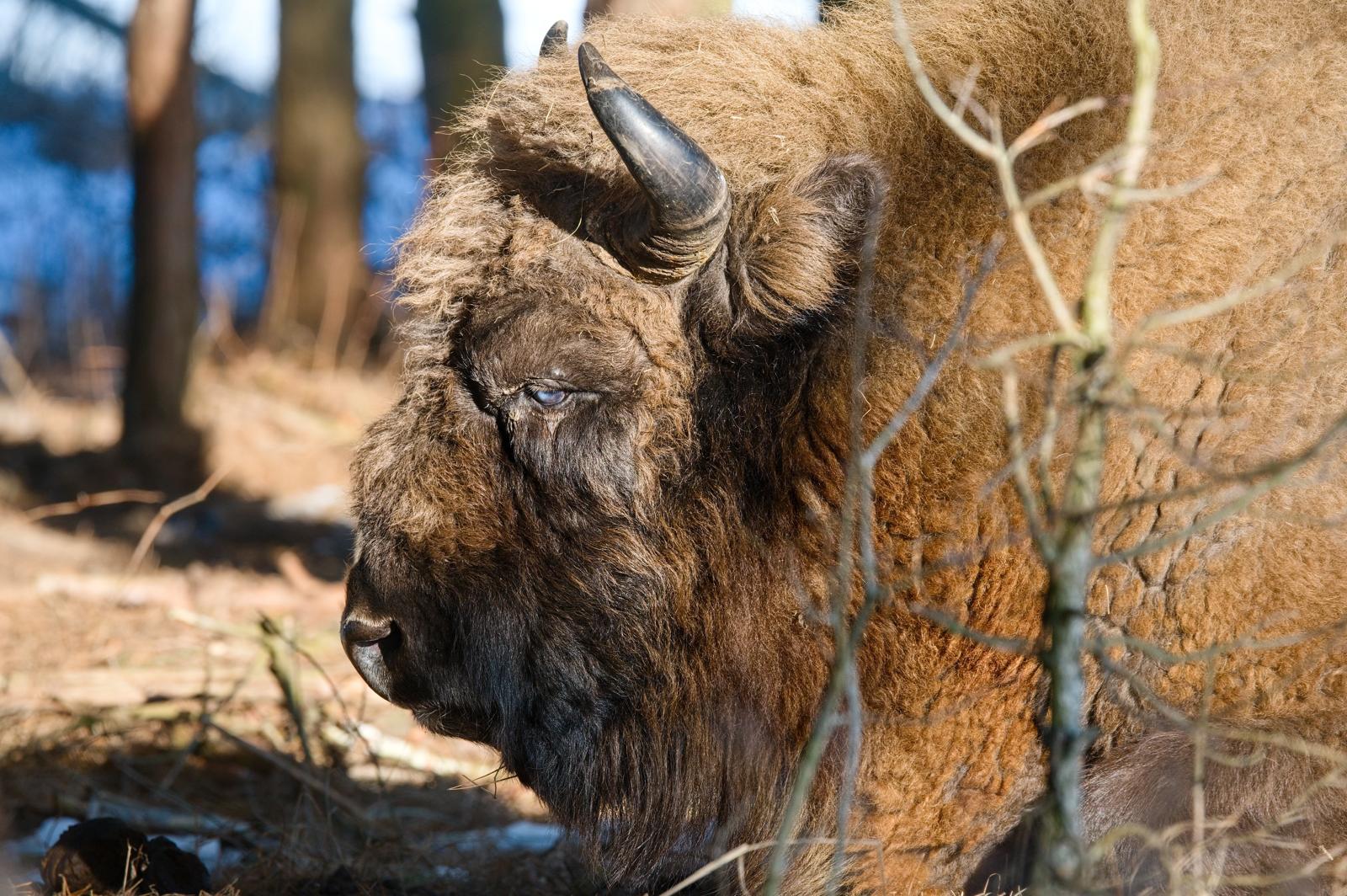 Fotograf Pavel Bašus