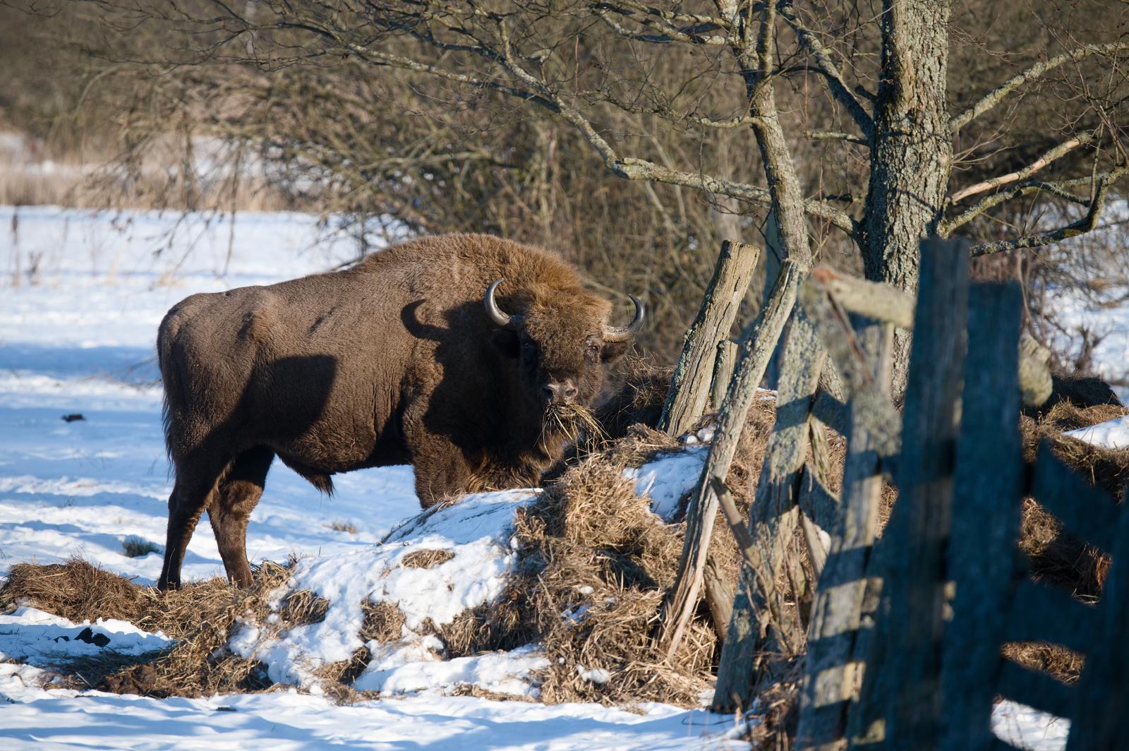 Fotograf Pavel Bašus
