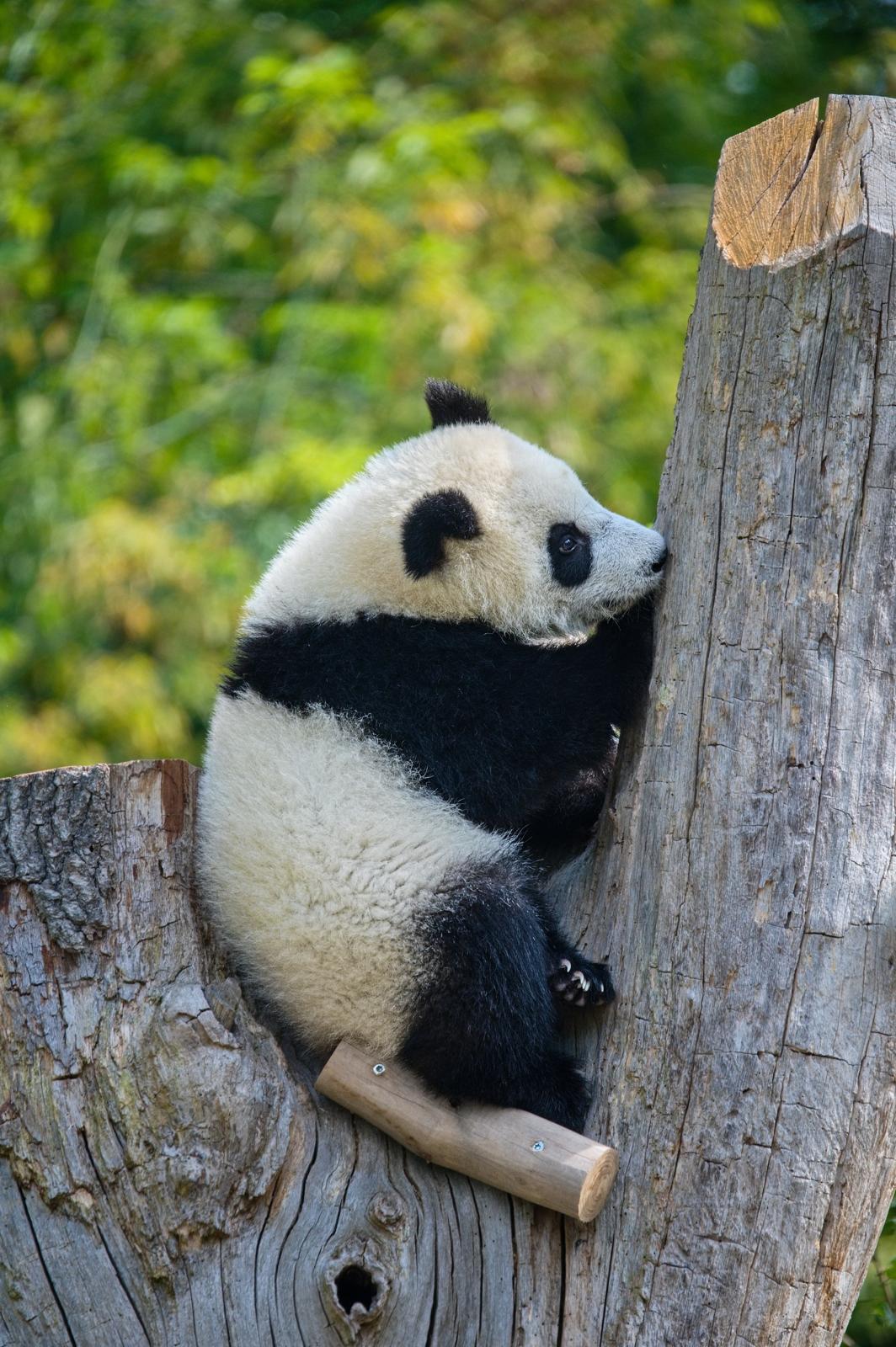 Fotograf Pavel Bašus - oslavy,svatby,portréty,akce,...