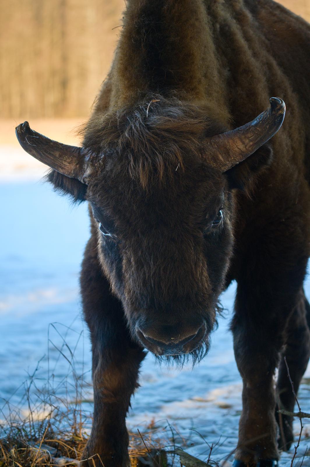 Fotograf Pavel Bašus