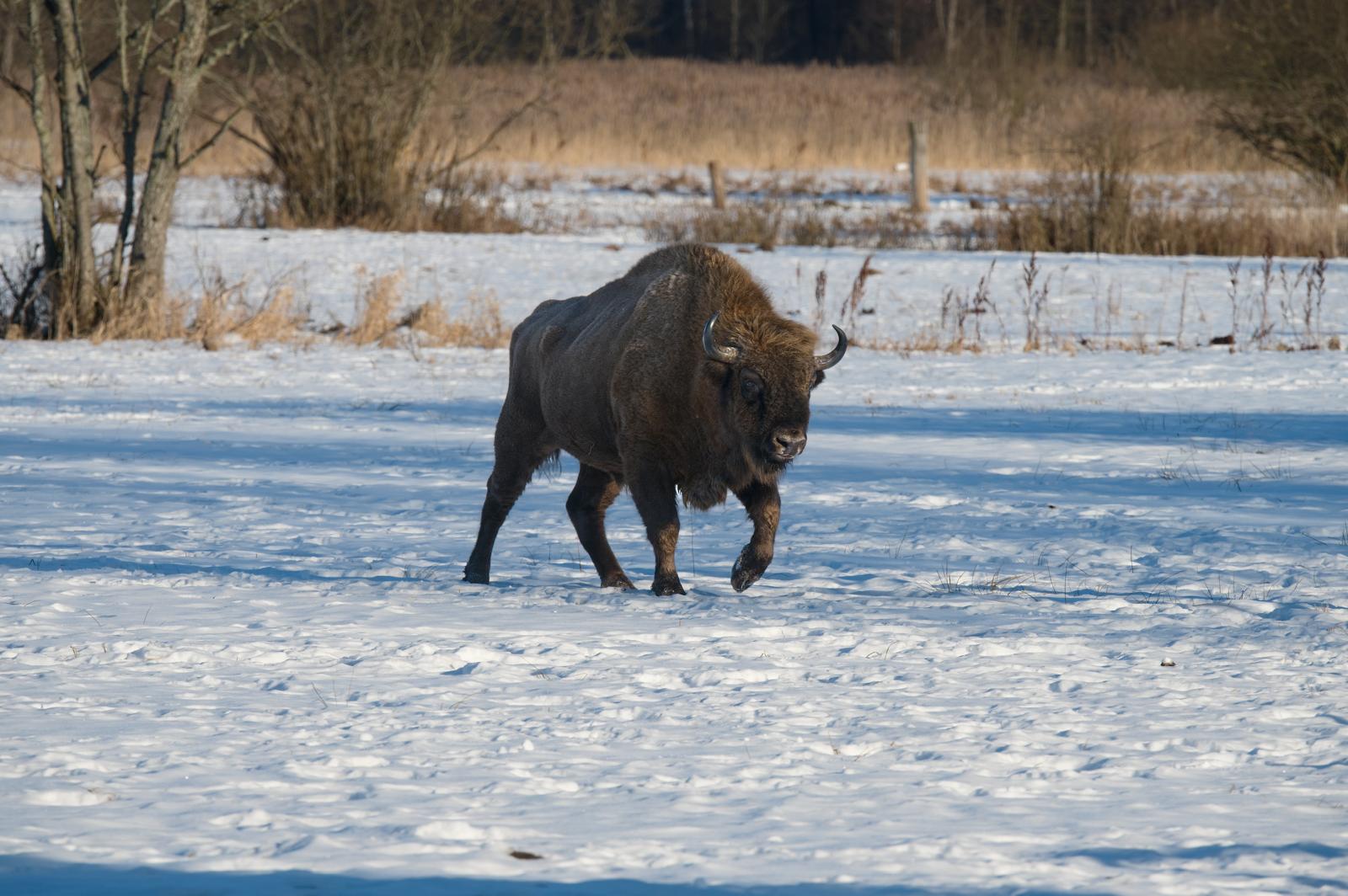 Fotograf Pavel Bašus