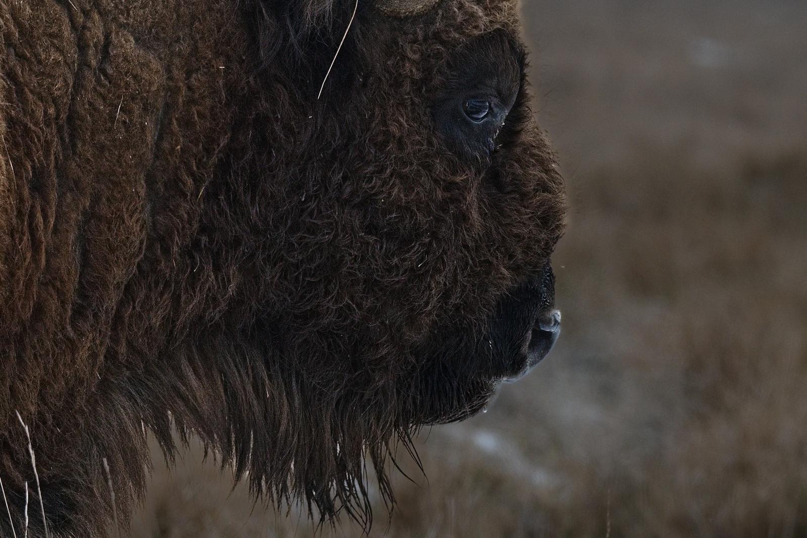 Fotograf Pavel Bašus