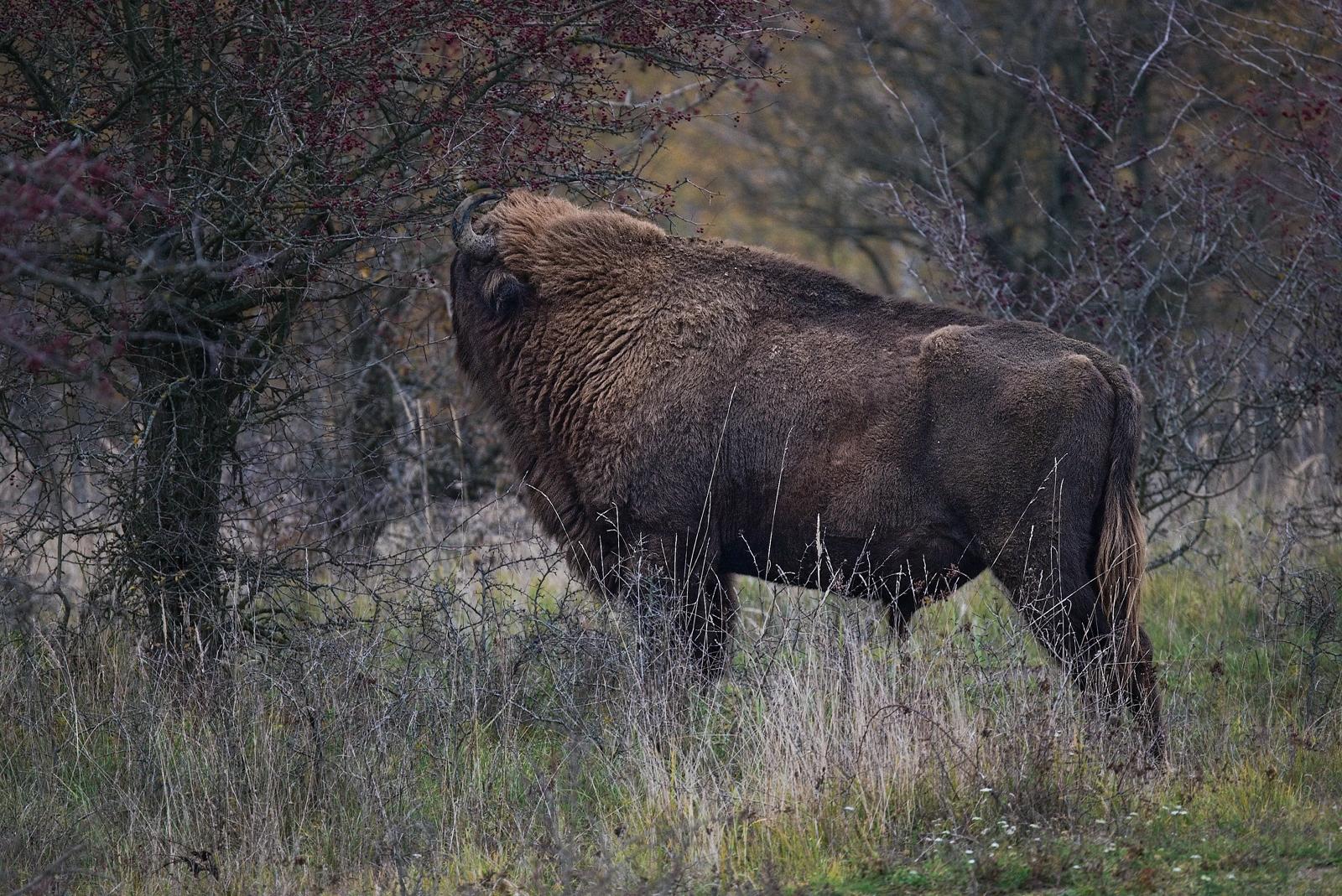 Fotograf Pavel Bašus